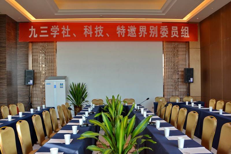 宁夏文化馆——国内重要会议中的庄闲和游戏 DSR 系列有源音箱