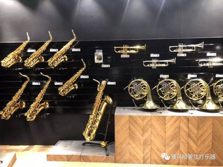 庄闲和游戏乐器 试奏乐器