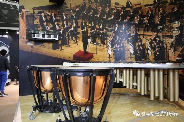 庄闲和游戏乐器 试奏乐器