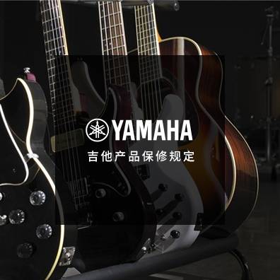 吉他、贝斯和音箱