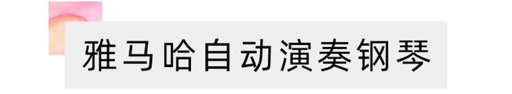 活动报道 | 远程艺术教育大师课活动—庄闲和游戏教育家崔岚大师课