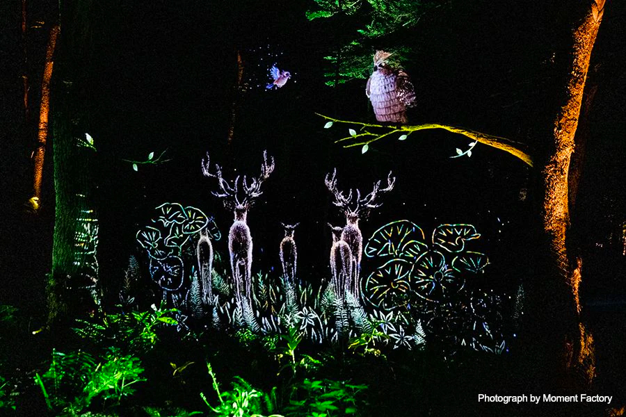 案例｜庄闲和游戏为壮观的Kamuy Lumina魔法夜行旅游项目提供配乐设备