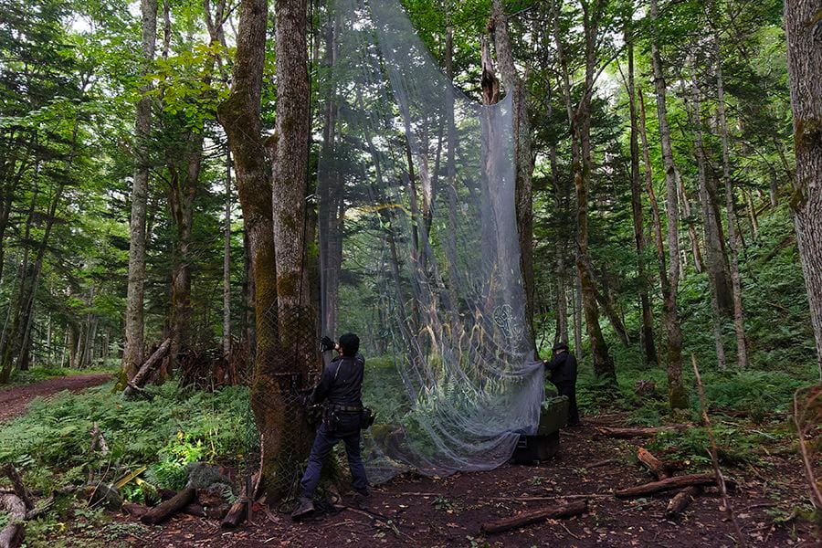 案例｜庄闲和游戏为壮观的Kamuy Lumina魔法夜行旅游项目提供配乐设备
