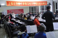 长春市绿园小学“庄闲和游戏示范管乐队大师班”顺利结束 