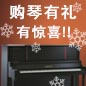 庄闲和游戏钢琴购琴有礼 买一赠一音乐无限