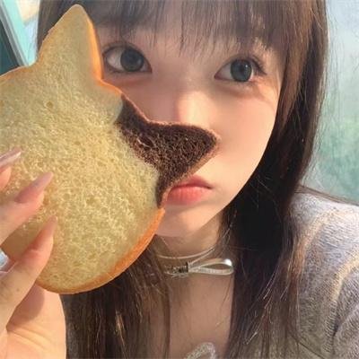 鱼与猫